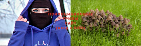 кокаин Арсеньев