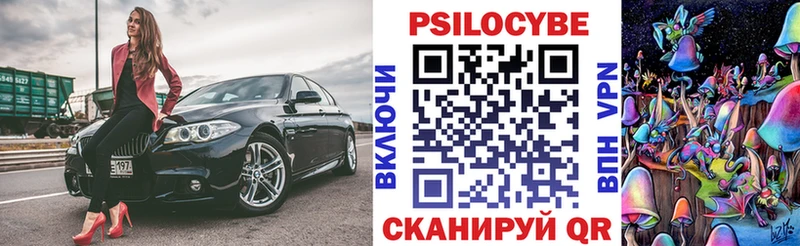 Псилоцибиновые грибы Psilocybe  omg вход  Шилка  что такое  