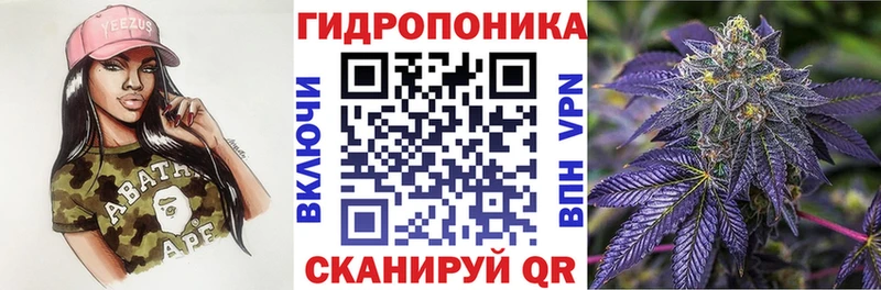 Бошки марихуана MAZAR  omg tor  Шилка 